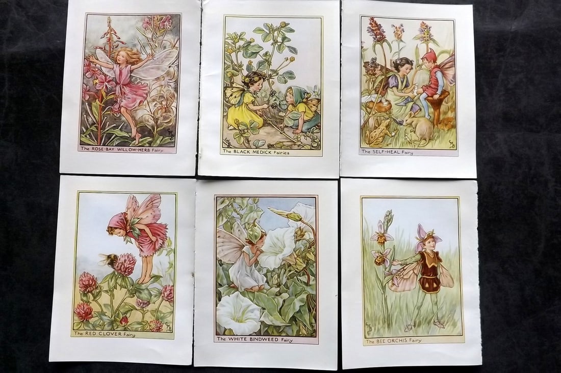 Barker, Cicely Mary C1940 Lot of 6 Flower-Fairy Prints - Wayside: Wayside Fairies. Lithographs Published C1935-45 by Blackie & Son, London & Glasgow for the "Flower-Fairies" Series by Cicely Mary Barker. Reverse side blank.Paper Size: 5.5 x 4 inch (14 x 10cm) Good C
