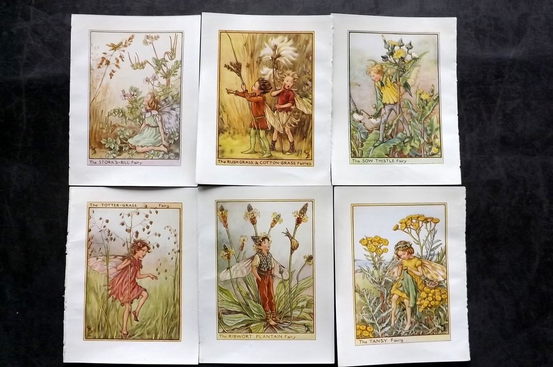 Barker, Cicely Mary C1940 Lot of 6 Flower-Fairy Prints - Wayside: Wayside Fairies. Lithographs Published C1935-45 by Blackie & Son, London & Glasgow for the "Flower-Fairies" Series by Cicely Mary Barker. Reverse side blank.Paper Size: 5.5 x 4 inch (14 x 10cm) Good C