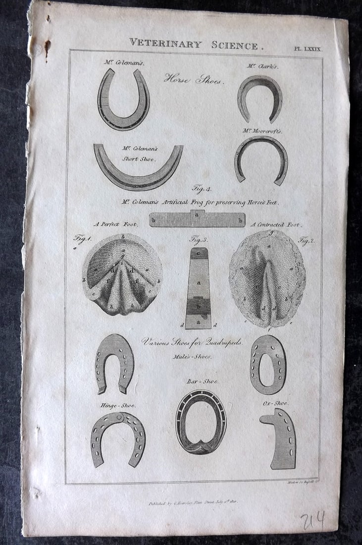 Good, John 1813 Antique Print. Horse Shores: Copper Plate Published 1806-13, London for "Pantologia: A New Cyclopaedia, Comprehending a Complete Series of Essays" by John Mason Good et al. Paper Size: 9.5 x 6 inch (24 x 15cm) Minor toning, other