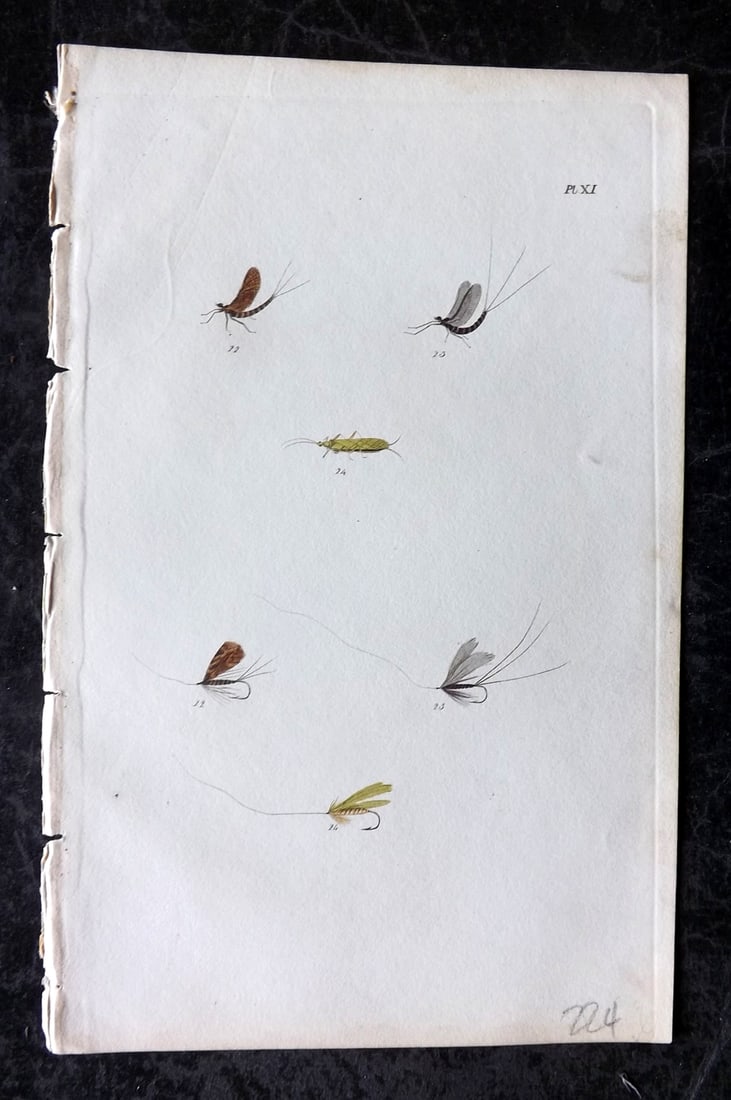 Ronalds, Alfred 1844 Hand Col Print. Fly Fishing Flies Entomology Angling 11 (1 of 1)