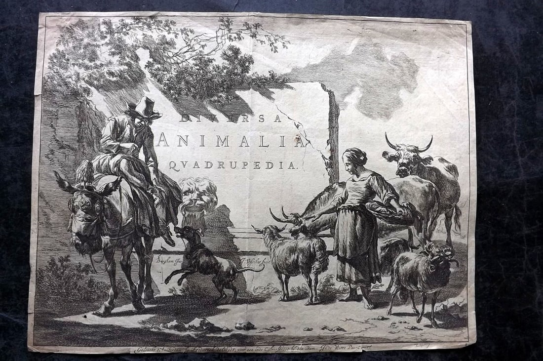 Visscher, Johannes after Nicolaes Berchem C1660 Diversa animalia quadrupedia Engraved Frontis: Folio Copper Engraved Frontispiece Published C1660 by Frederick de Wit, Amsterdam for "Diversa animalia quadrupedia" Engraved Johannes Visscher after Nicolaes Berchem. Paper Size: 15 x 12 inch (38 x 3