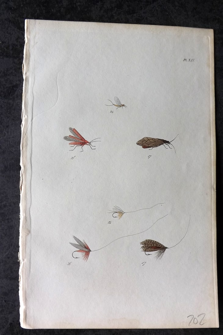 Ronalds 1844 Hand Col Print. Fly Fishing Flies Entomology Angling 12: Hand Colored Etching Published 1844, London for "The Fly Fisher's Entomology" by Alfred Ronalds. Paper Size: 8 x 5 inch (21 x 13cm) Good Condition