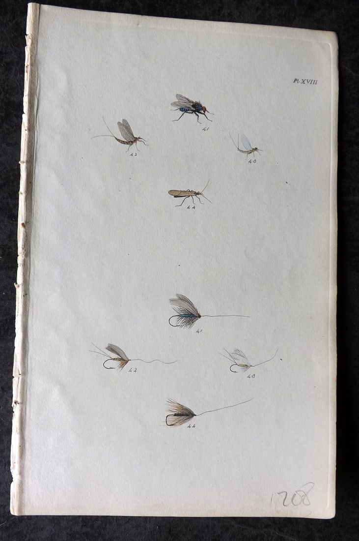 Ronalds 1844 Hand Col Print. Fly Fishing Flies Entomology Angling 18: Hand Colored Etching Published 1844, London for "The Fly Fisher's Entomology" by Alfred Ronalds. Paper Size: 8 x 5 inch (21 x 13cm) Good Condition