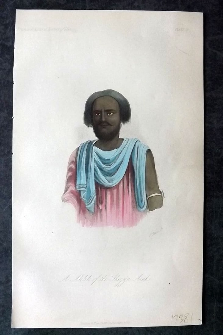 Prichard, James 1855 Hand Col Print. Melik of the Sheep Arabs 04: Antique Aquatint Published 1855 London for "The Natural History of Man" by James Cowles Prichard. Fine hand colour as issued. Paper Size: 9.5 x 5.5 inch (24 x 14cm) Good Condition
