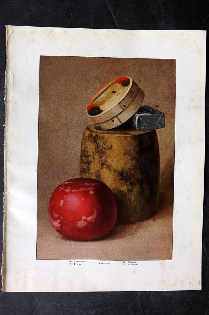Ward, Artemas 1911 Food Print. Cheese - Camembert, Edam, Cream, Cheddar: Antique Offset Lithograph Published 1911, New York for "The Grocer's Encyclopedia" Compiled by Artemas Ward. Paper Size: 11 x 8 inch (28 x 21cm) Very minor margin toning. Good Conditiion