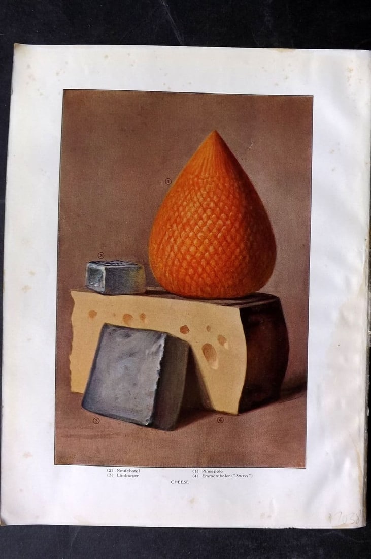 Ward, Artemas 1911 Cheese - Neufchatel, Pineapple, Limburger, Emmanthaler: Antique Offset Lithograph Published 1911, New York for "The Grocer's Encyclopedia" Compiled by Artemas Ward. Paper Size: 11 x 8 inch (28 x 21cm) Very minor margin toning and margin water staining. Goo