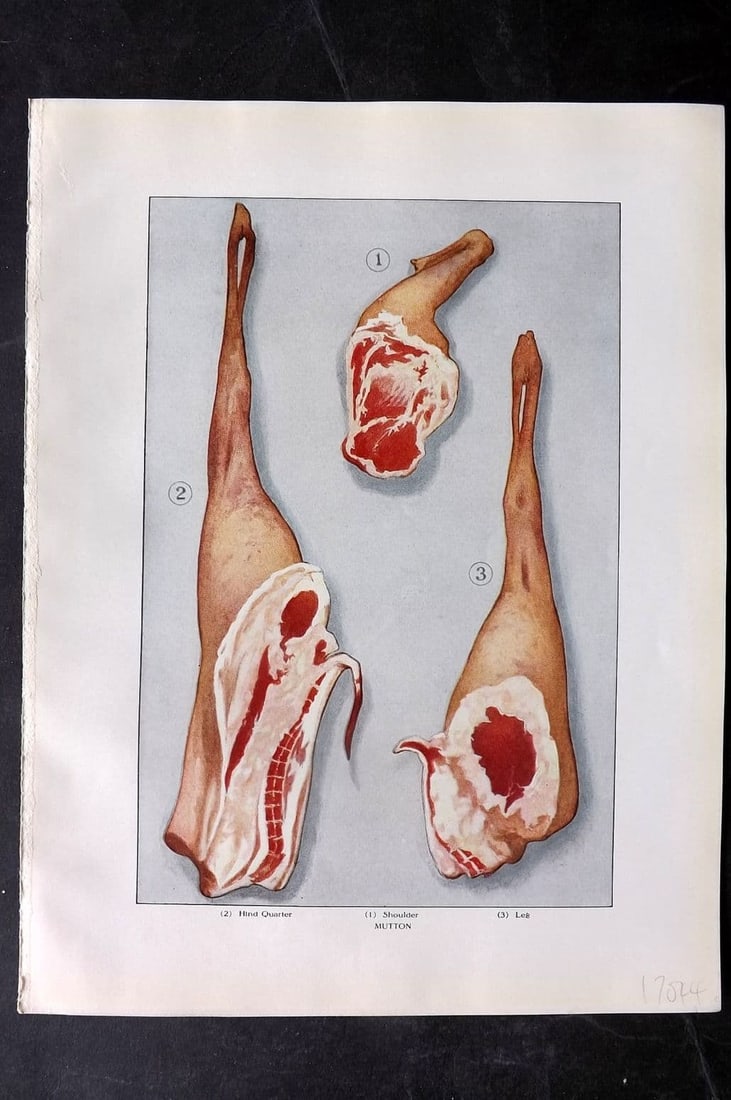 Ward, Artemas 1911 Antique Food Print. Mutton - Hind Quarter, Shoulder & Leg: Antique Offset Lithograph Published 1911, New York for "The Grocer's Encyclopedia" Compiled by Artemas Ward. Paper Size: 11 x 8 (28 x 21cm) Good Condition
