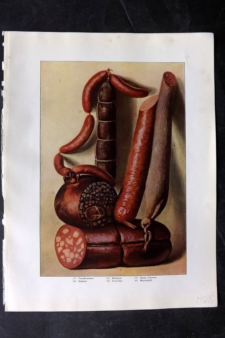 Ward, Artemas 1911 Food Print. Sausage - Franfurters, Salami, Bologna, Cervelat: Antique Offset Lithograph Published 1911, New York for "The Grocer's Encyclopedia" Compiled by Artemas Ward. Paper Size: 11 x 8 (28 x 21cm) Very minor margin toning. Good Condition