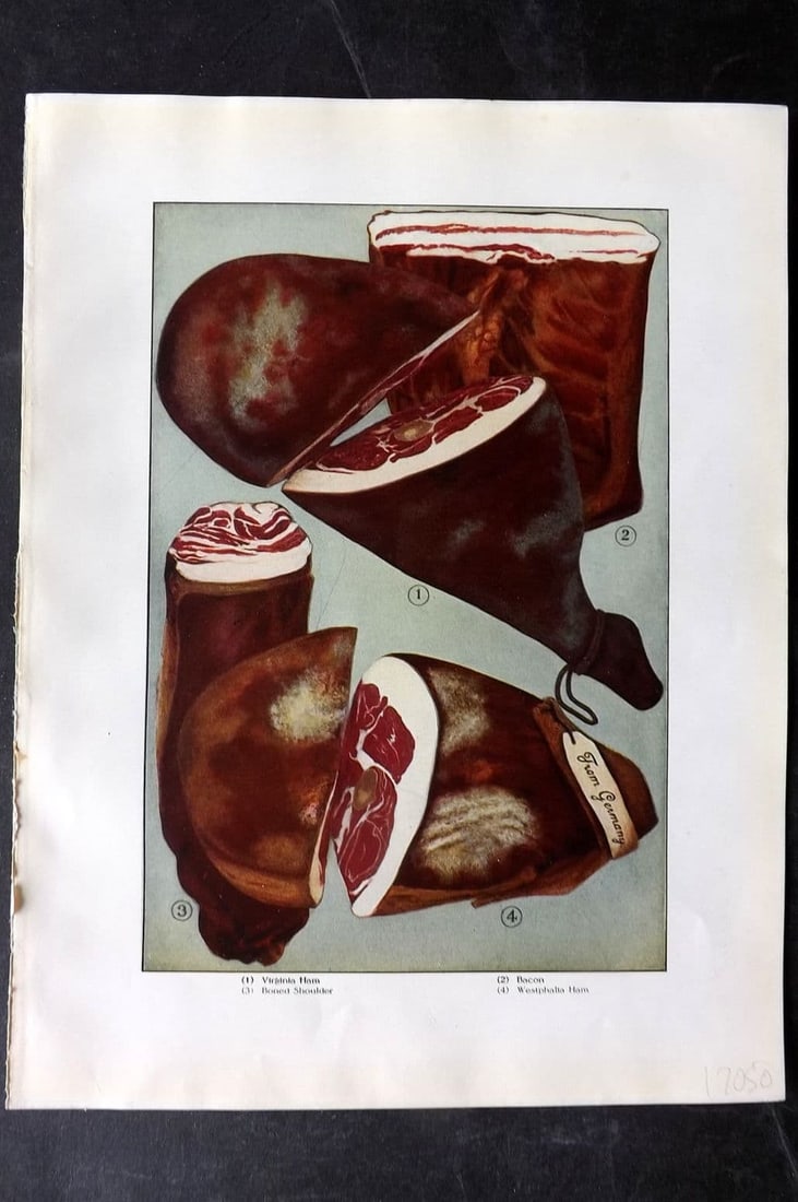 Ward, Artemas 1911 Antique Food Print. Virginia & Westphalia Ham, Bacon, Shoulder: Antique Offset Lithograph Published 1911, New York for "The Grocer's Encyclopedia" Compiled by Artemas Ward. Paper Size: 11 x 8 (28 x 21cm) Good Condition