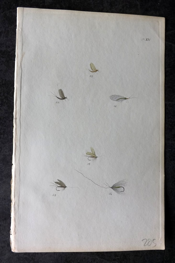Ronalds, Alfred 1844 Hand Col Print. Fly Fishing Flies Entomology Angling 15: Hand Colored Etching Published 1844, London for "The Fly Fisher's Entomology" by Alfred Ronalds. Paper Size: 8 x 5 inch (21 x 13cm) Good Condition