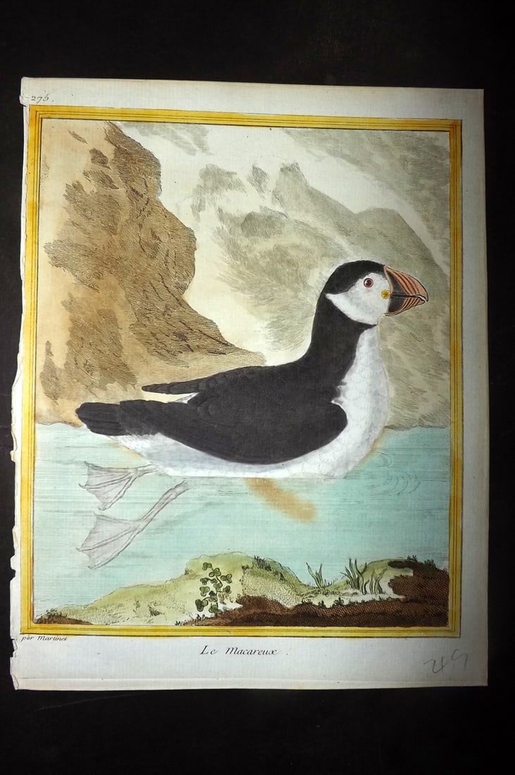 Martinet, Francois C1780 Hand Col Bird Print. Puffin, Le Macareux 275: Hand Colored Copper Plate, Published 1770-85 Imprimerie Royale, Paris for "Histoire Naturelle des Oiseaux" First & Deluxe Edition by Georges-Louis Leclerc, Comte de Buffon. Drawn & Engraved by Francoi