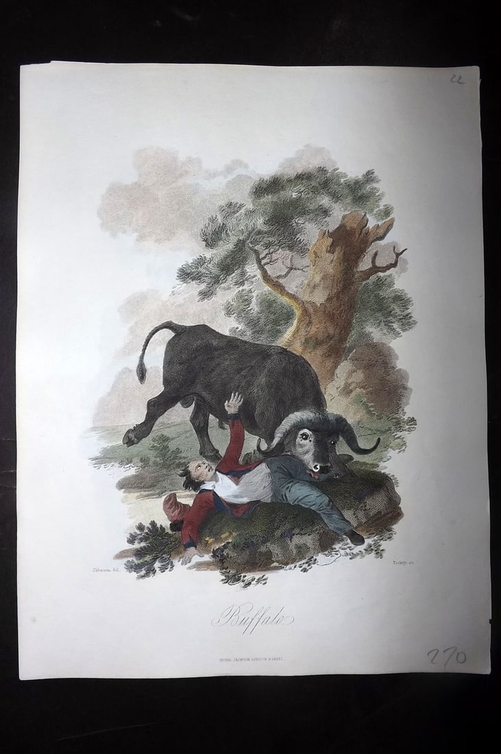 Church, John 1849 Hand Col Print. Buffalo (1 of 1)