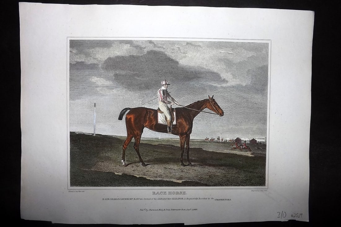Scott, John 1820 Hand Col Horse Print. Race Horse: Hand Colored Copper Plate Published 1820, London for "The Sportsman's Repository" by John Scott. Illustrated after Marshall, Reinagle, Gilpin, Stubbs, and Cooper. Paper Size: 11.5 x 8 inch (28 x 21cm)