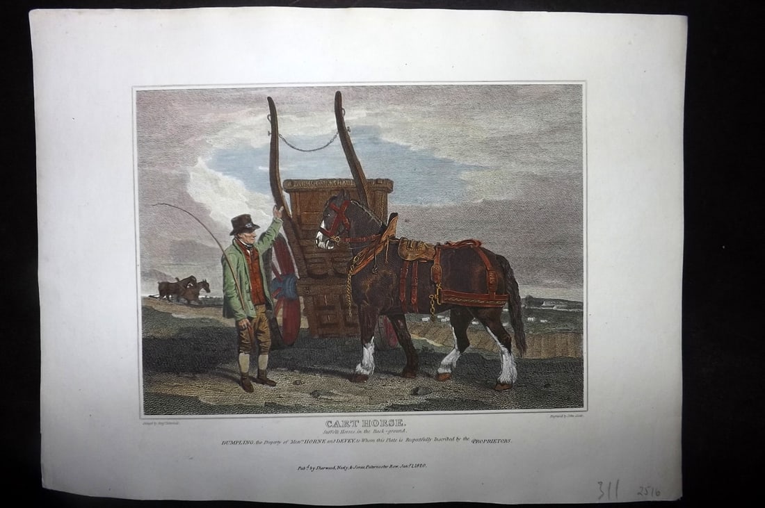 Scott, John 1820 Hand Col Horse Print. Cart Horse (1 of 1)