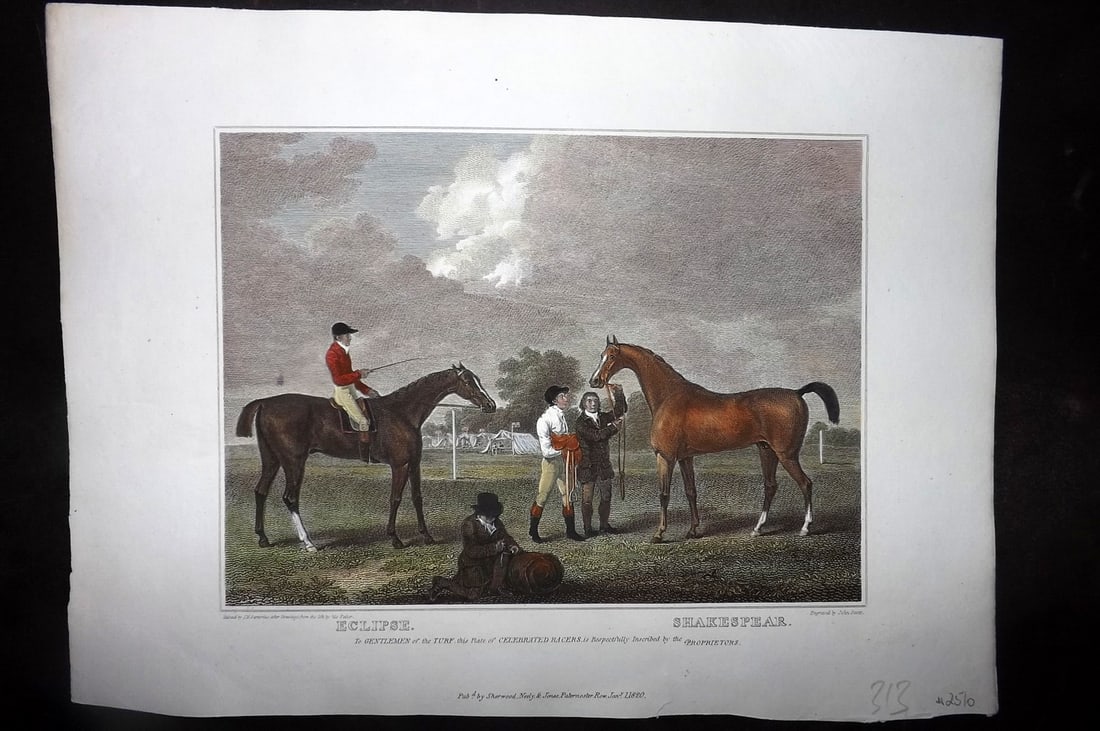 Scott, John 1820 Hand Col Horse Print. Eclipse. Shakespeare (1 of 1)