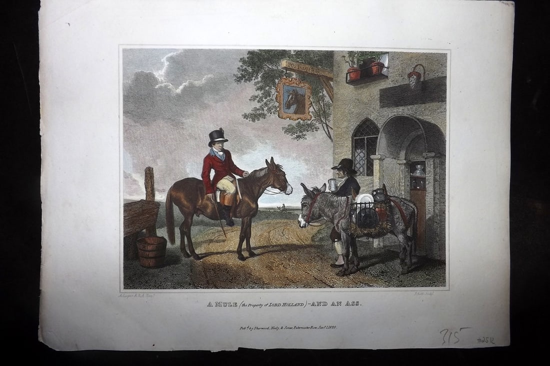 Scott, John 1820 Hand Col Horse Print. A Mule (the Property of Lord Holland) and an Ass (1 of 1)