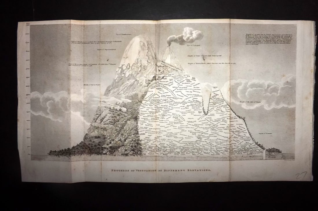 Shaw, Simeon 1823 Print. Chimborazo, Ecuador. Progress of Vegetation at different elevations: Copper Plate Published 1823, London for "Nature Displayed in the Heavens, and on the Earth" by Simeon Shaw. Folds as issued. Paper Size: 14 x 8 inch (36 x 20cm) Minor toning, otherwise fine