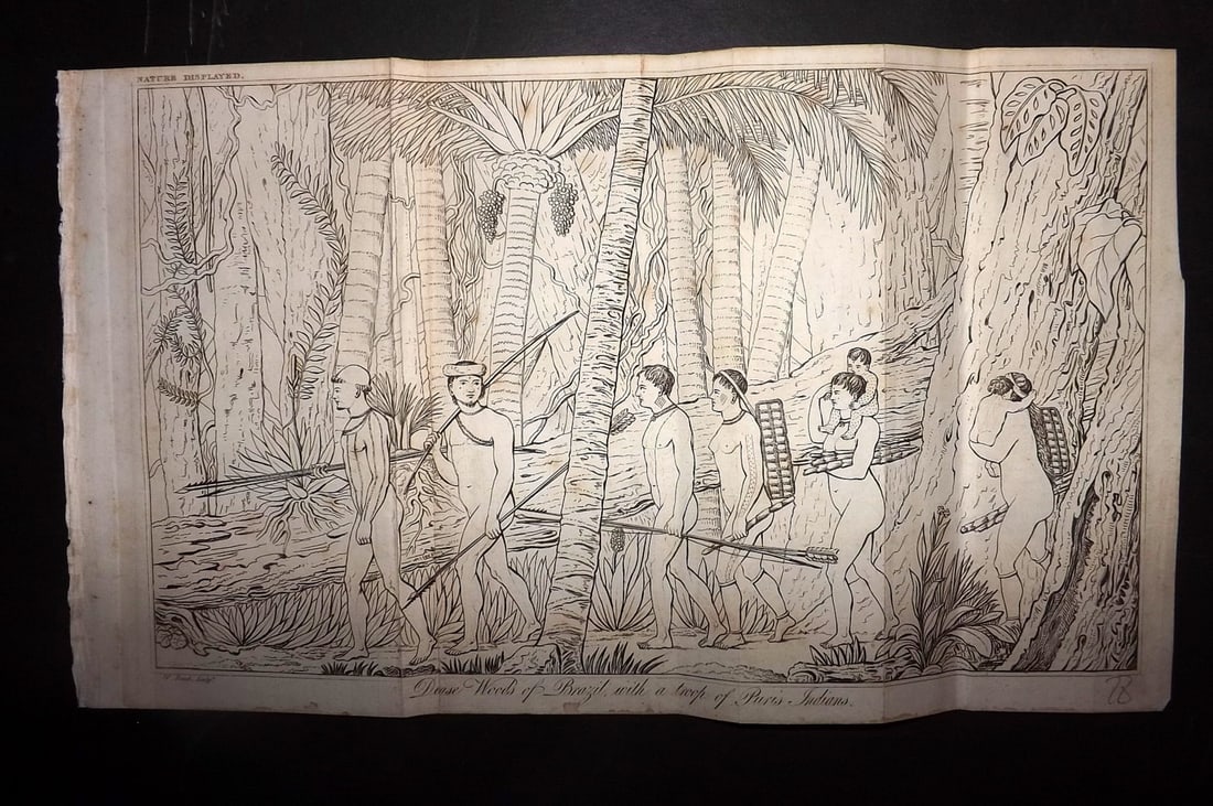 Shaw, Simeon 1823 Print. Dense Woods of Brazil with Puris Indians: Etching Published 1823, London for "Nature Displayed in the Heavens, and on the Earth" by Simeon Shaw. Folds as issued. Paper Size: 13.5 x 8 inch (34 x 20cm) Very minor toning, good condition