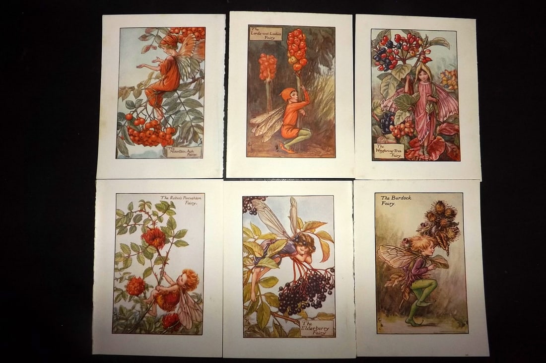 Barker, Cicely Mary C1940 Lot of 6 Flower-Fairy Prints - Autumn: Autumn Fairies. Lithographs Published C1935-45 by Blackie & Son, London & Glasgow for the "Flower-Fairies" Series by Cicely Mary Barker. Reverse side blank.Paper Size: 5.5 x 4 inch (14 x 10cm) Good Co