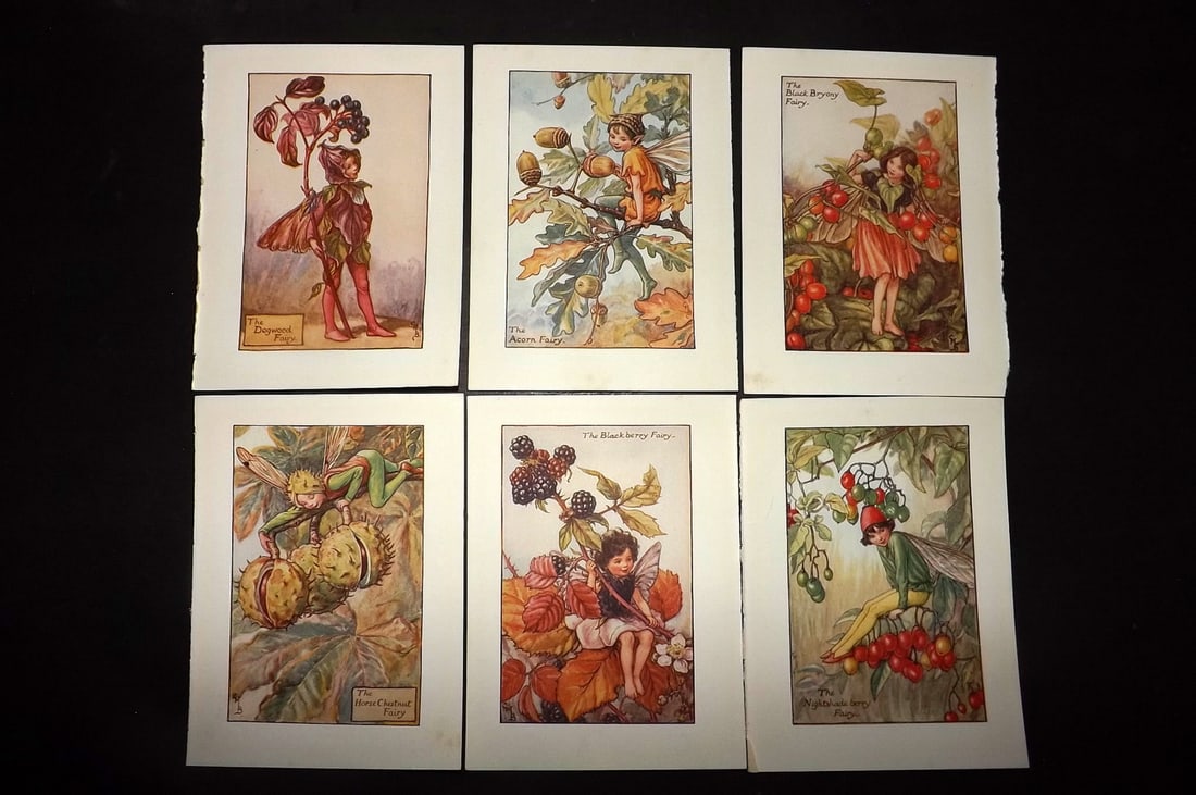 Barker, Cicely Mary C1940 Lot of 6 Flower-Fairy Prints - Autumn: Autumn Fairies. Lithographs Published C1935-45 by Blackie & Son, London & Glasgow for the "Flower-Fairies" Series by Cicely Mary Barker. Reverse side blank.Paper Size: 5.5 x 4 inch (14 x 10cm) Good Co