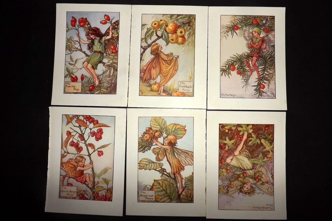 Barker, Cicely Mary C1940 Lot of 6 Flower-Fairy Prints - Autumn: Autumn Fairies. Lithographs Published C1935-45 by Blackie & Son, London & Glasgow for the "Flower-Fairies" Series by Cicely Mary Barker. Reverse side blank.Paper Size: 5.5 x 4 inch (14 x 10cm) Good Co