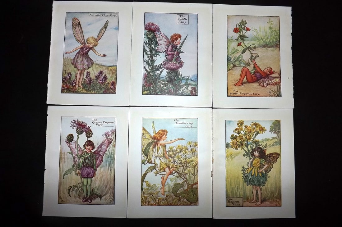 Barker, Cicely Mary C1940 Lot of 6 Flower-Fairy Prints - Summer: Autumn Fairies. Lithographs Published C1935-45 by Blackie & Son, London & Glasgow for the "Flower-Fairies" Series by Cicely Mary Barker. Reverse side blank.Paper Size: 5.5 x 4 inch (14 x 10cm) Good Co