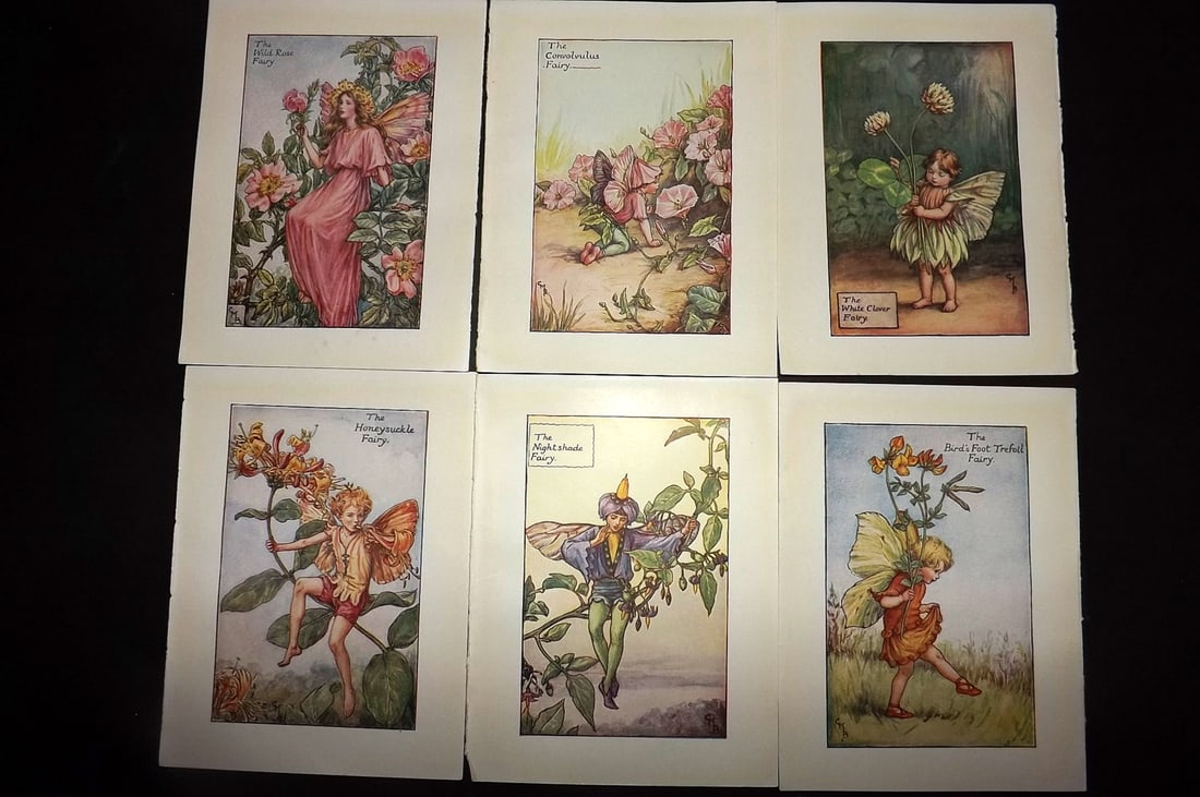 Barker, Cicely Mary C1940 Lot of 6 Flower-Fairy Prints - Summer: Autumn Fairies. Lithographs Published C1935-45 by Blackie & Son, London & Glasgow for the "Flower-Fairies" Series by Cicely Mary Barker. Reverse side blank.Paper Size: 5.5 x 4 inch (14 x 10cm) Good Co