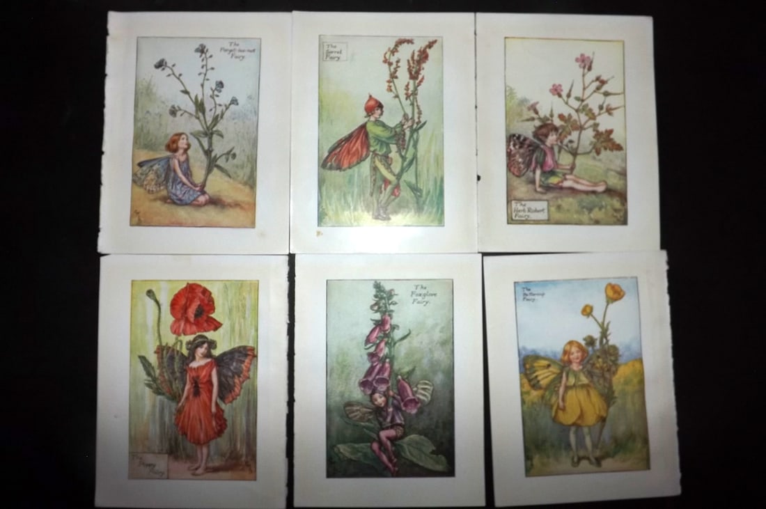 Barker, Cicely Mary C1940 Lot of 6 Flower-Fairy Prints - Summer: Autumn Fairies. Lithographs Published C1935-45 by Blackie & Son, London & Glasgow for the "Flower-Fairies" Series by Cicely Mary Barker. Reverse side blank.Paper Size: 5.5 x 4 inch (14 x 10cm) Good Co