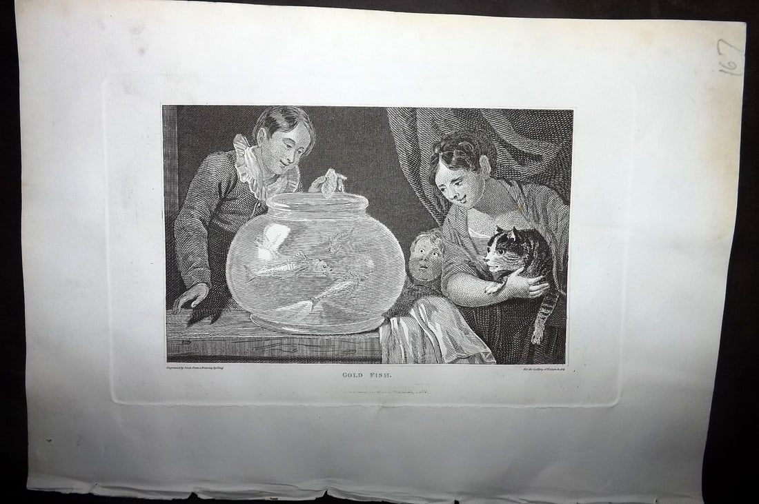 Polehampton, Edward 1823 Print. Goldfish in Bowl: Copper Plate Published 1823, London for "The Gallery of Nature and Art: or, A Tour Through Creation and Science" by the Rev. Edward Polehampton & John M. Good. Paper Size: 10 x 7 inch (26 x 18cm) Good