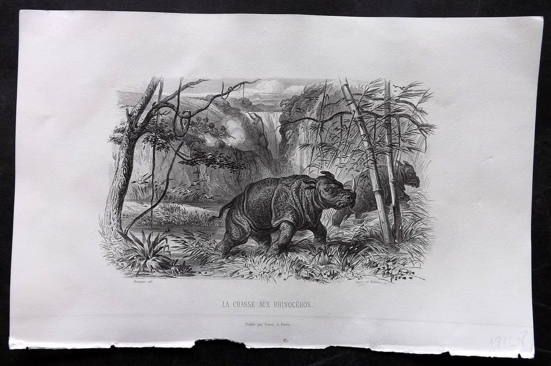 d'Urville, Jules Dumont 1859 Antique Print. La Chasse Aux Rhinoceros. East Indies (1 of 1)