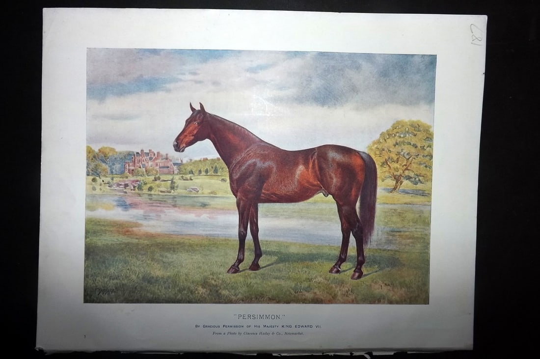 Prince-Sheldon, J. 1902 Horse Print. Persimmon (1 of 1)