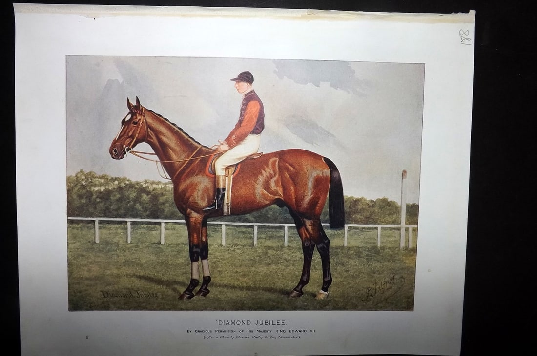 Prince-Sheldon, J. 1902 Horse Print. Diamond Jubilee: Offset Lithographs Published 1902, Cassell and Co., London for "Live Stock in Health and Disease" by Professor J. Prince-Sheldon. Paper Size: 10.5 x 8 inch (27 x 21cm) Good Condition