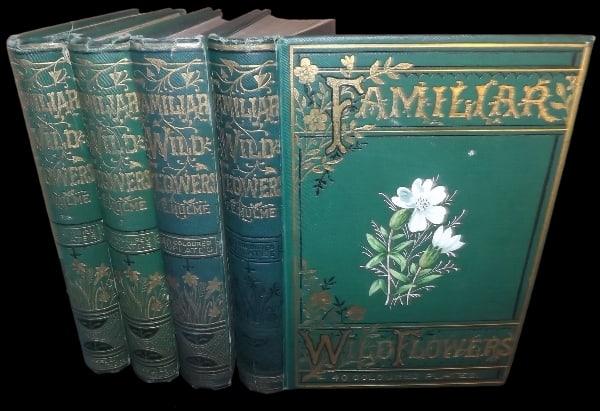 Hulme, F. Edward - Familiar Wild Flowers, Decorative Binding, 1st Ed. 4 Vols, 160 Plates, 1878 (1 of 9)