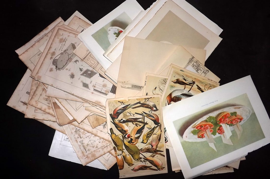 Mixed Prints 19th Cent. Lot of 60 Engravings & Lithos (1 of 7)