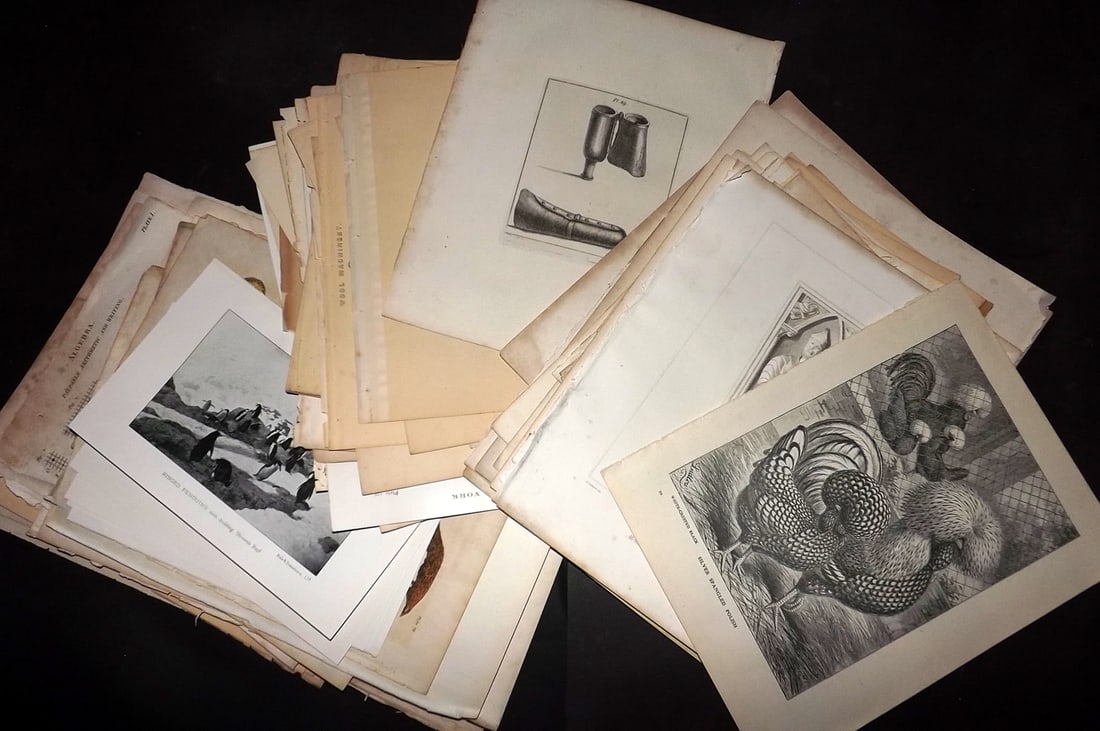 Mixed Prints 18th-19th Cent. Lot of 80 Engravings & Lithos (1 of 12)