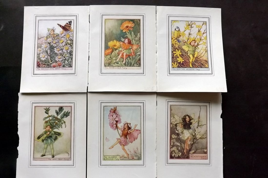 Barker, Cicely Mary C1930 Lot of 6 Flower-Fairy Prints: Lithographs Published C1930, London for "Fairies of the Flowers and Trees" by Cicely Mary Barker. Comprising of the Wayside, Garden and Tree Fairies. Slightly larger than the usual Flower-Fairies seri