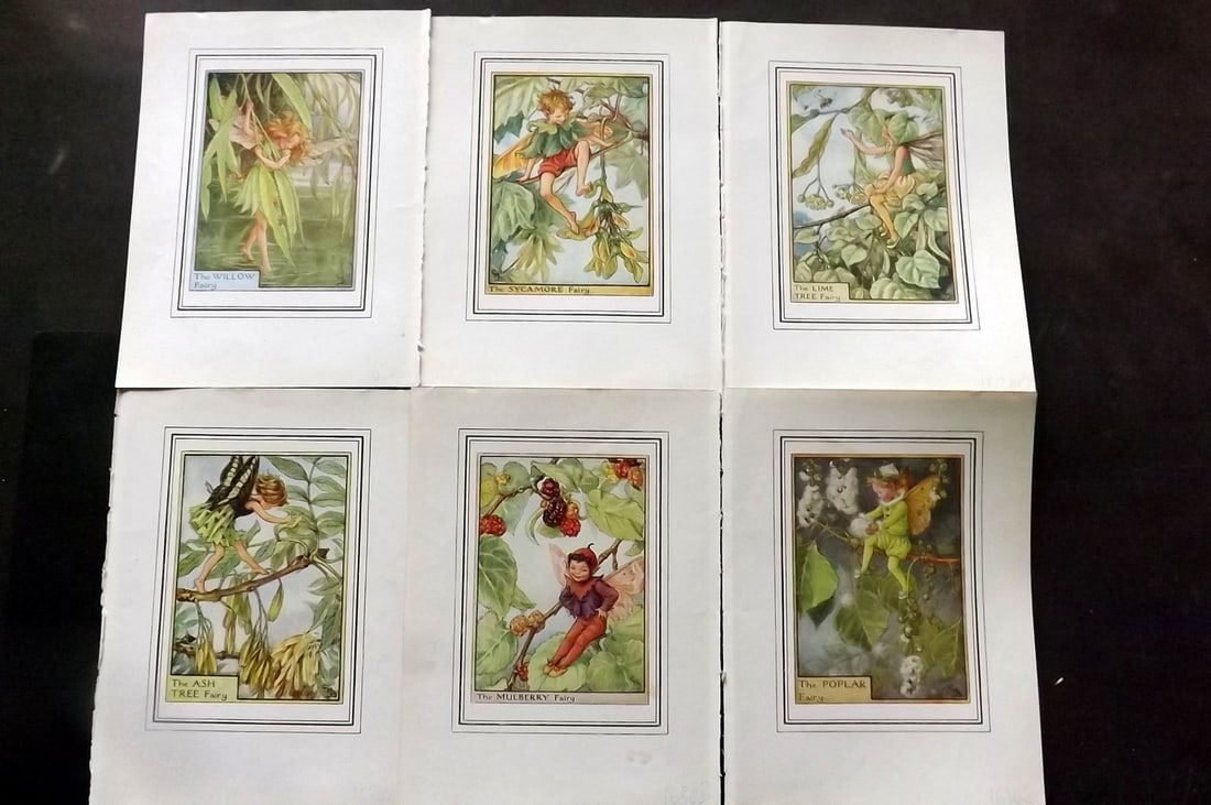 Barker, Cicely Mary C1930 Lot of 6 Flower-Fairy Prints: Lithographs Published C1930, London for "Fairies of the Flowers and Trees" by Cicely Mary Barker. Comprising of the Wayside, Garden and Tree Fairies. Slightly larger than the usual Flower-Fairies seri