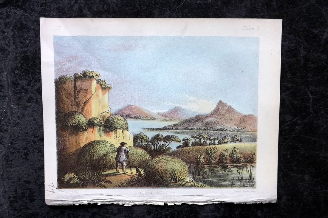 Daubeny & Catlow 1855 Botanical Print. Balsam Bog 05 (1 of 1)