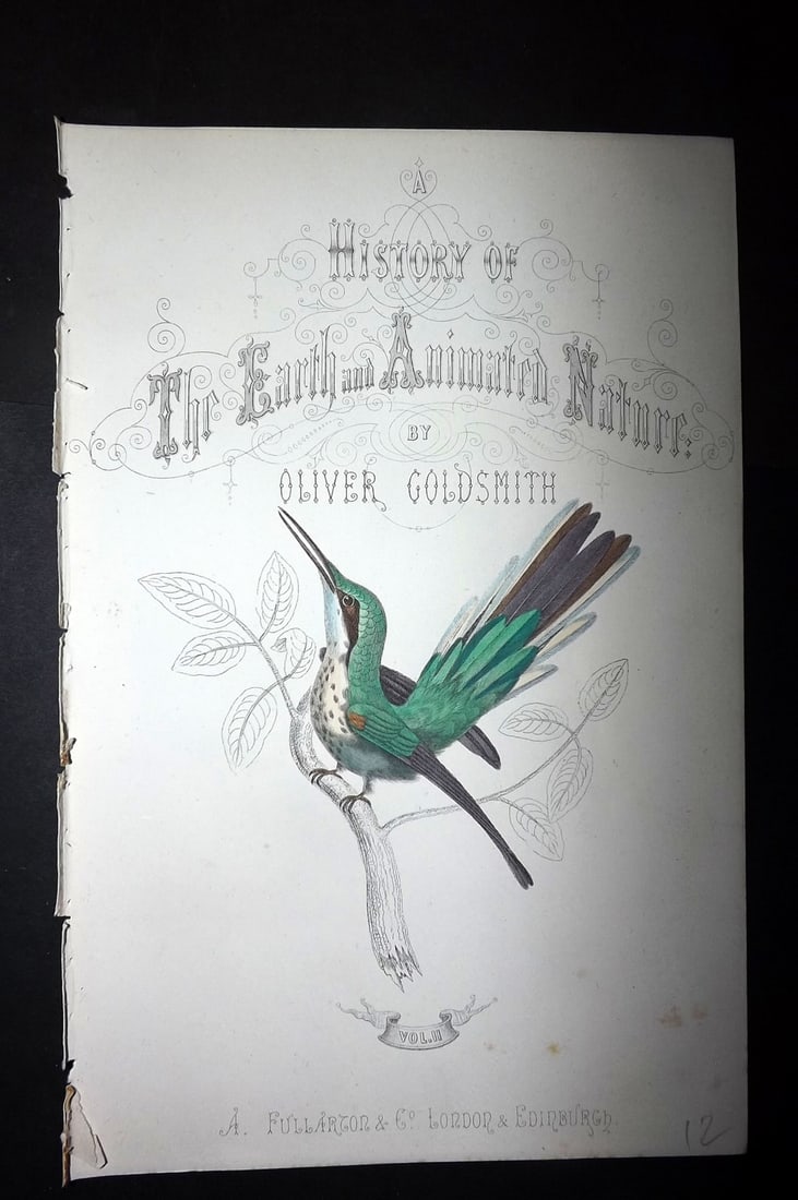 Goldsmith, Oliver C1855 Hand Col Bird Print. White Striped Hummingbird. Title Page (1 of 1)