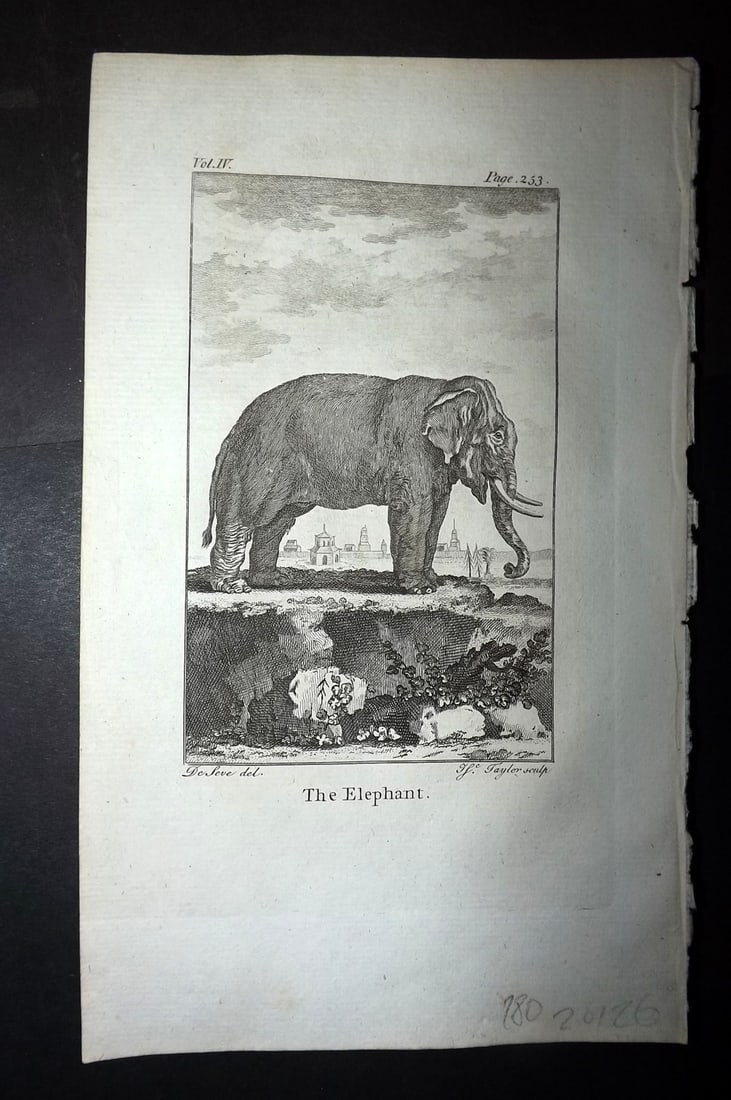 Goldsmith, Oliver 1779 Antique Print. Elephant: Copper Plate Published 1779, London for "An History of the Earth and Animated Nature" by Oliver Goldsmith. Paper Size: 8 x 5 inch (21 x 13cm) Good Condition