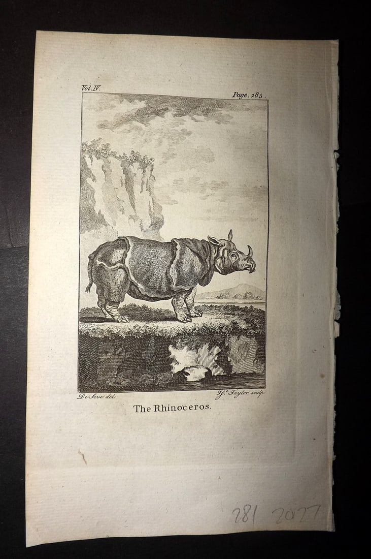 Goldsmith, Oliver 1779 Antique Print. Rhino: Copper Plate Published 1779, London for "An History of the Earth and Animated Nature" by Oliver Goldsmith. Paper Size: 8 x 5 inch (21 x 13cm) Good Condition