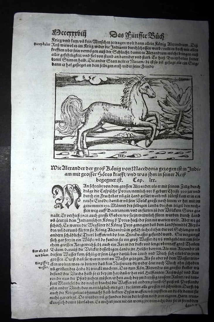 Munster, Sebastian 1578 Early Woodcut. Horse of Alexander the Great: Woodcut Published 1578, Basel for the "Cosmographia" by Sebastian Munster. Printed both sides. Paper Size: 12 x 8 inch (30 x 20cm) Approx. Good Condition
