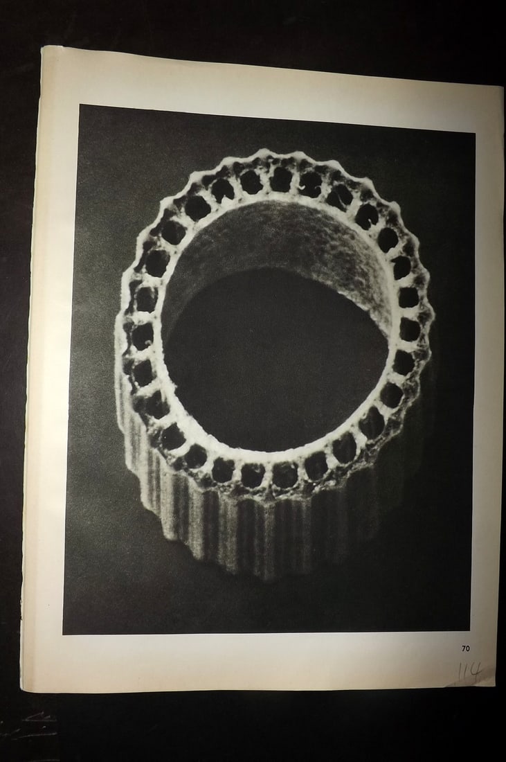 Blossfeldt, Karl 1942 Folio Vintage Botanical Print 70: Photogravures Published 1953, Berlin for "Urformen der Kunst" by Karl Blossfeldt. Reverse side blank. Paper Size: 12.5 x 10 inch (32 x 25cm) Good Condition
