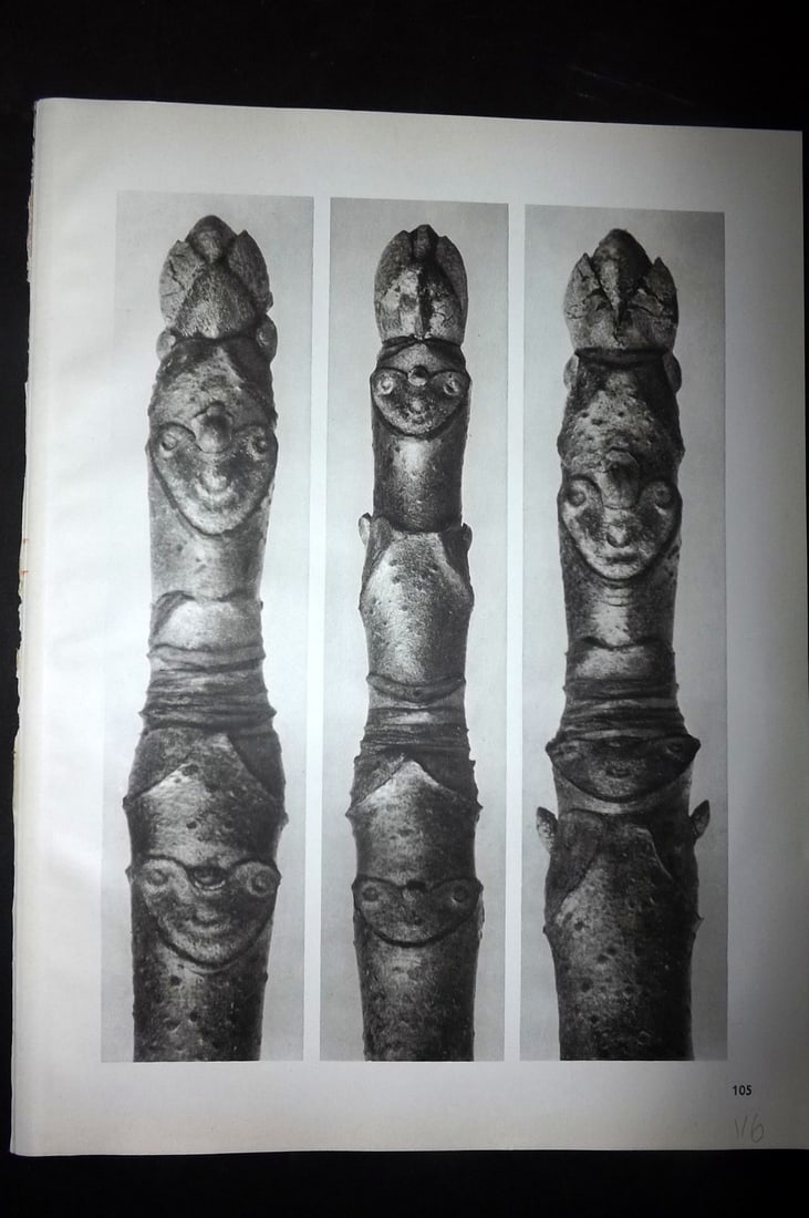 Blossfeldt, Karl 1942 Folio Vintage Botanical Print 105: Photogravures Published 1942, Berlin for "Wunder in der Natur" by Karl Blossfeldt. Reverse side blank. Paper Size: 12.5 x 10 inch (32 x 25cm) Good Condition