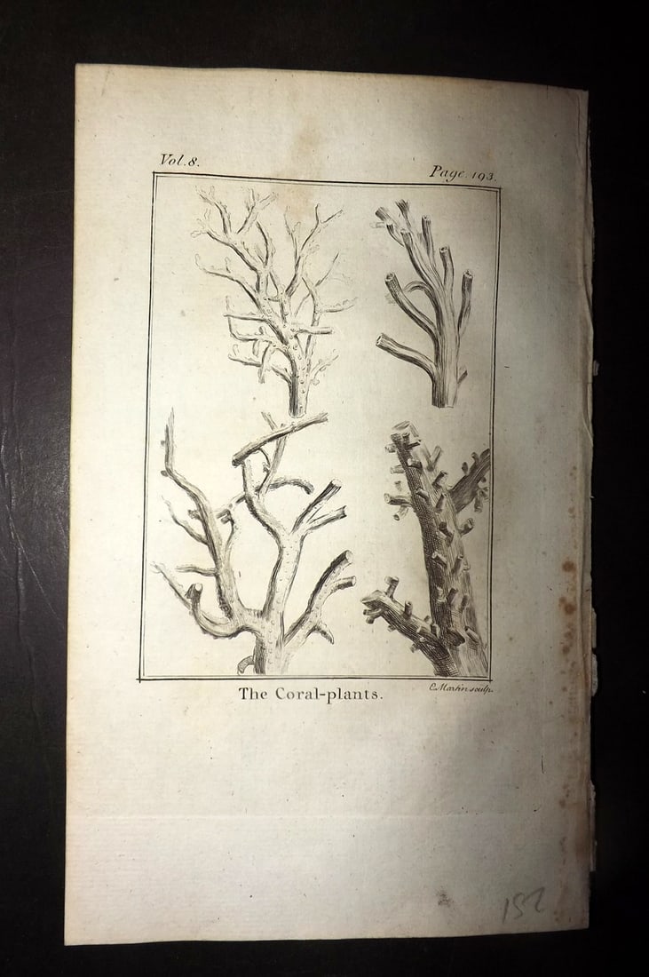 Goldsmith, Oliver 1779 Antique Print. Coral Plants: Copper Plate Published 1779, London for "An History of the Earth and Animated Nature" by Oliver Goldsmith. Paper Size: 7 x 4.25 inch (18 x 11cm) Very minor toning. Good Condition