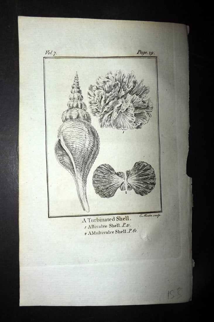 Goldsmith, Oliver 1779 Antique Print. Shells - Turbinated, Bivalve, Multivale (1 of 1)