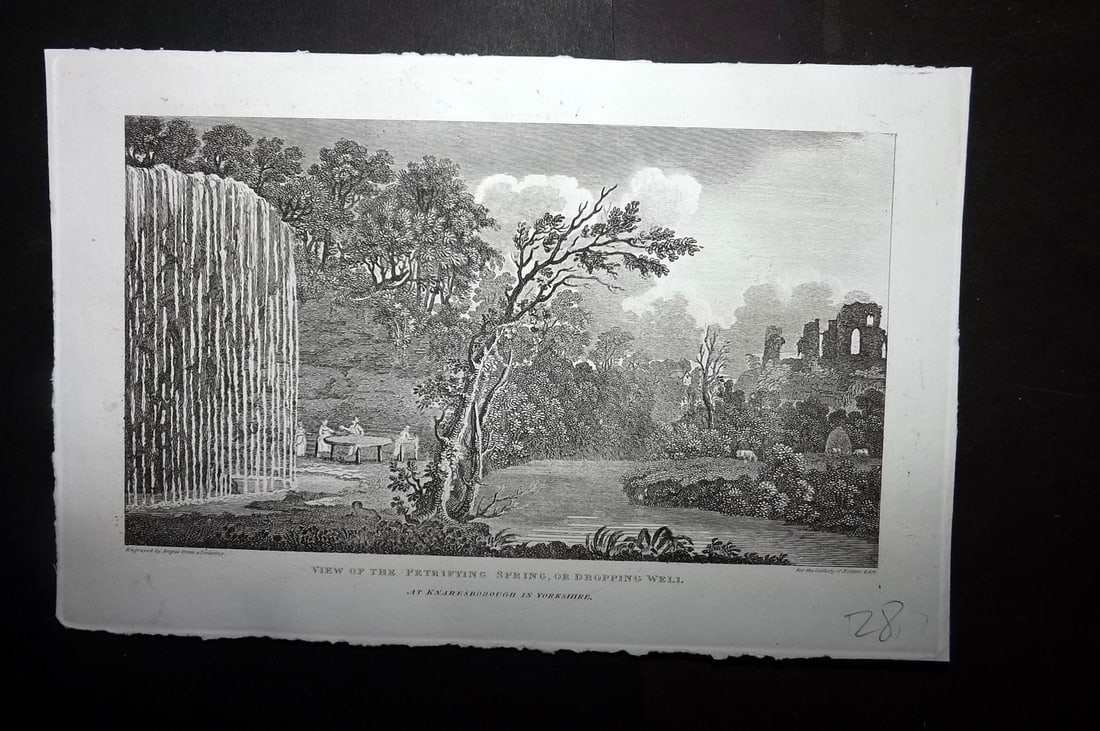 Polehampton 1823 Petrifying Spring or Dropping Well, Knaresborough Yorkshire: Copper Plate Published 1823, London for "The Gallery of Nature and Art: or, A Tour Through Creation and Science" by the Rev. Edward Polehampton & John M. Good. Paper Size: 8 x 5 inch (20 x 13cm) Margi