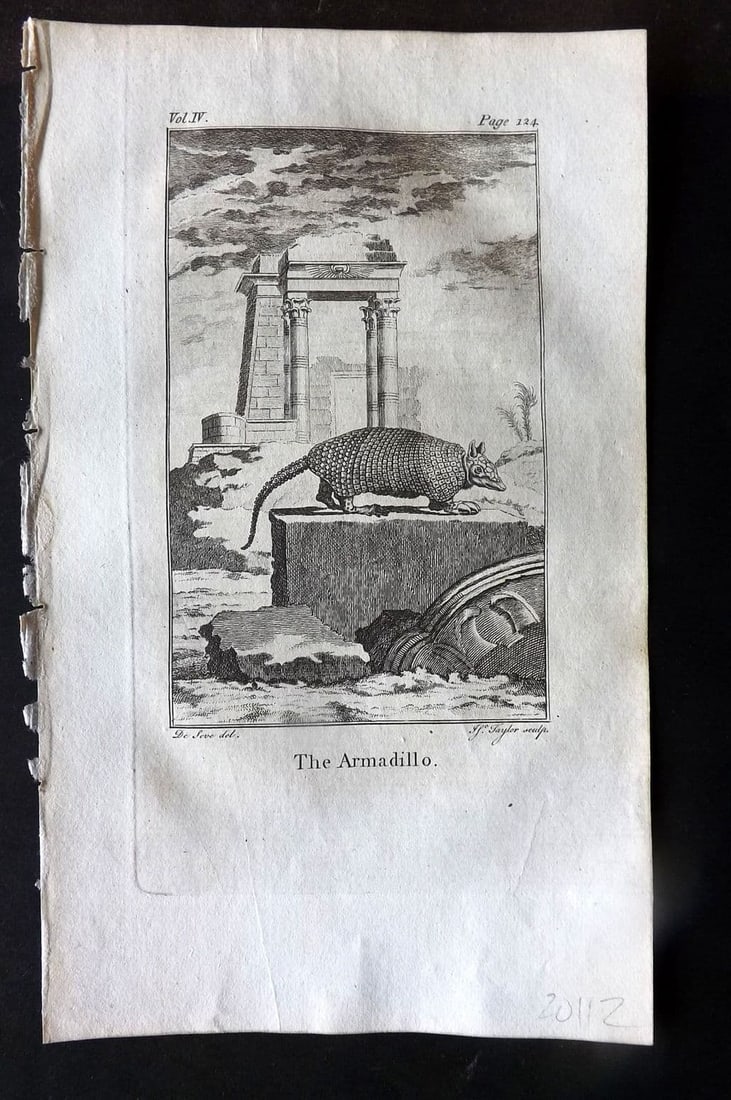 Goldsmith, Oliver 1779 Antique Print. Armadillo (1 of 1)