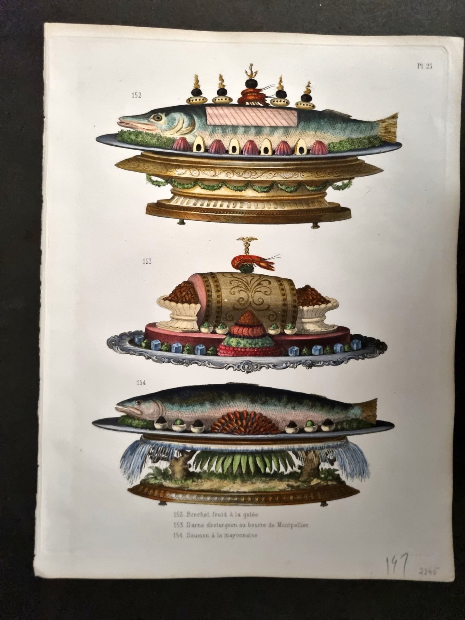 Dubois, Urbain & Emile 1876 Folio Hand Col Food Print 23: FolioHand Colored Steel Engraving Published 1876, Paris for "La Cuisine Classique" by Urbain & Emile Dubois. Paper Size: 12 x 9 inch (30 x 23cm) Good Condition