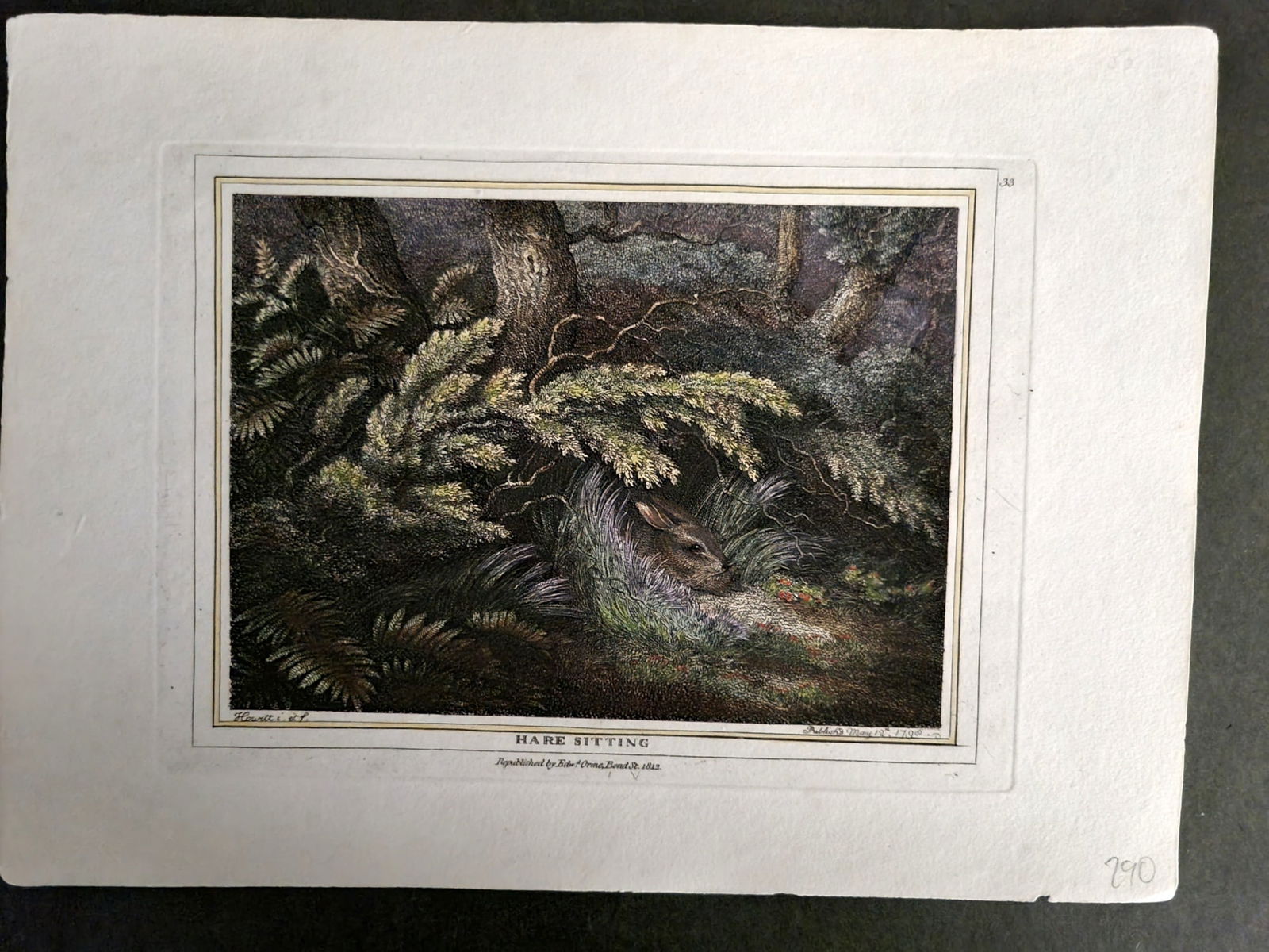 Howitt, Samuel 1812 Hand Col Etching. Hare Sitting 33 (1 of 1)